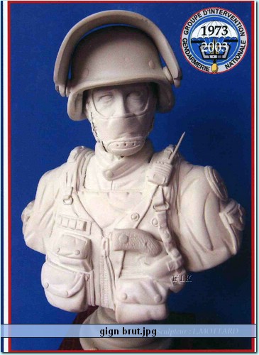 gign brut.jpg