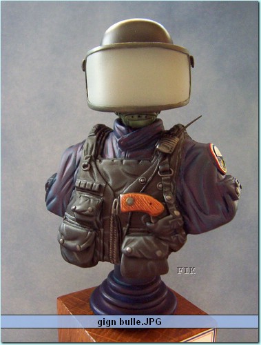 gign bulle.JPG