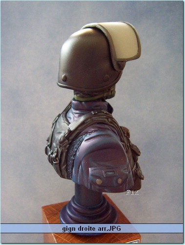 gign droite arr.JPG