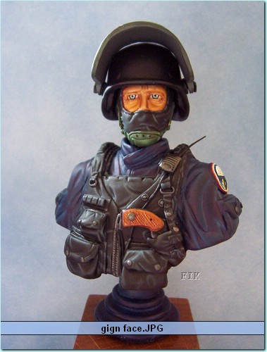 gign face.JPG