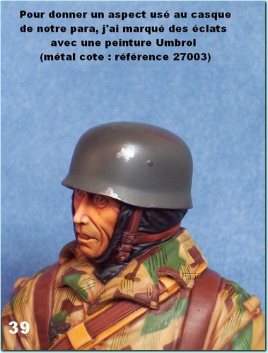zm.jpg