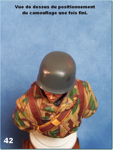 zp.jpg