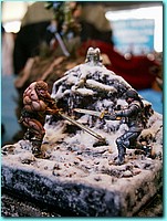 50620227.JPG