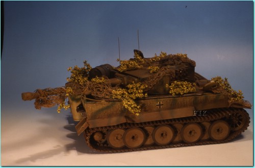 dorval tigre 1.jpg
