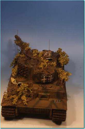 dorval tigre I.jpg