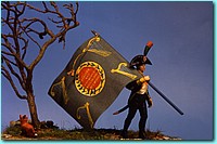 davin d legion irlandaise.jpg