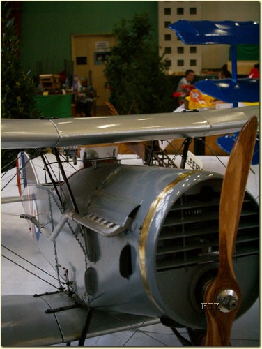 50620042.JPG