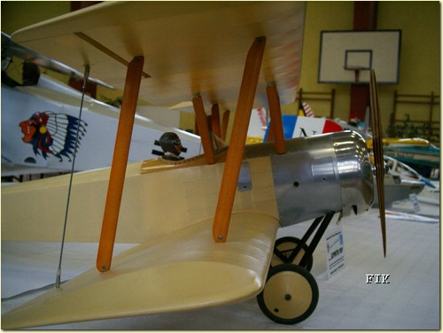 50620043.JPG