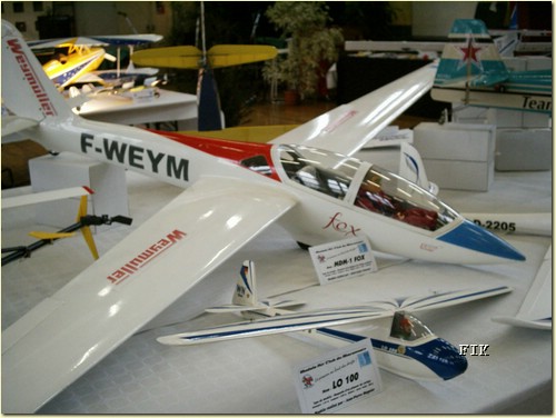 50620047.JPG