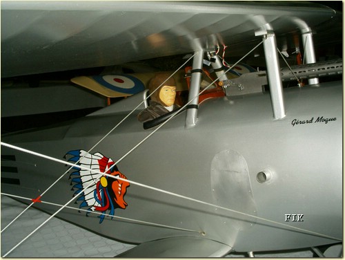 50620056.JPG
