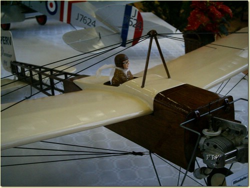 50620059.JPG