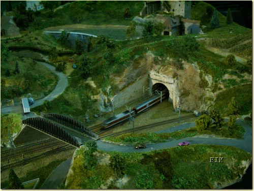 50620069.JPG
