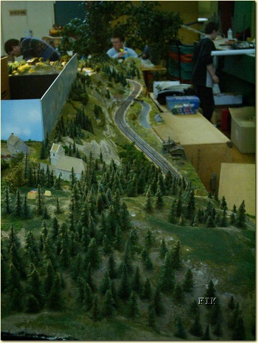50620071.JPG