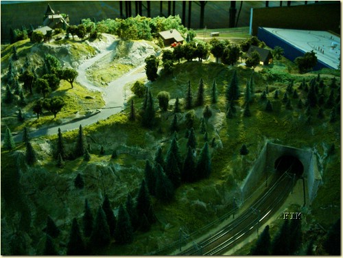50620073.JPG