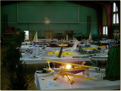 50620074.JPG