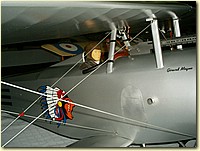 50620056.JPG