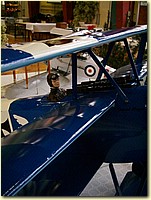 50620057.JPG