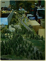 50620071.JPG