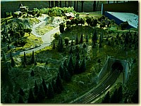 50620073.JPG
