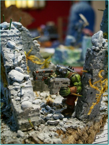 50620413.JPG
