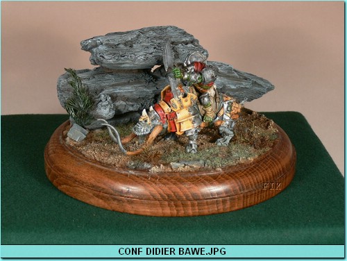 CONF DIDIER BAWE.JPG