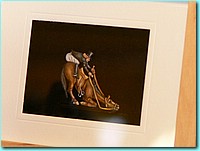PIECES EN SALLE (150).JPG